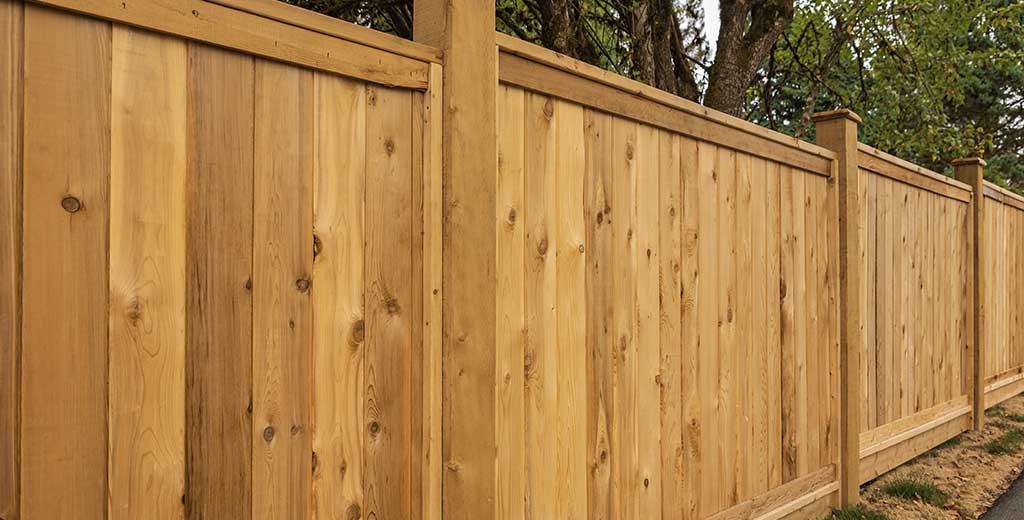 Pressure Treated Fence Boards